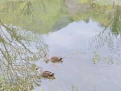 -西湖风景区-江洋畈生态公园