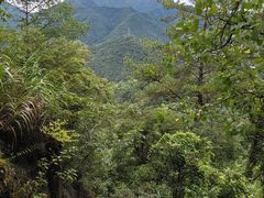 -富春桃源风景区