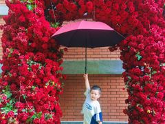 -西安电影制片厂