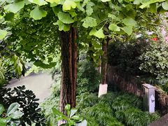 -鼓楼(西湖风景名胜区)