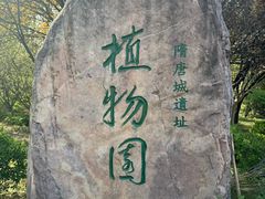 -洛阳市隋唐城遗址植物园