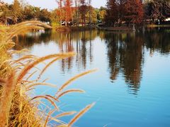 -森波拉奇妙世界