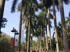 -广州珠江公园