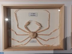 -中国湿地博物馆