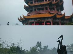 -黄鹤楼公园(黄鹤楼)