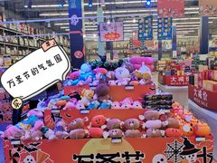 -麦德龙(浦东店)