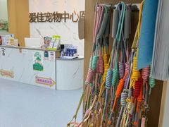 -爱佳宠物中心医院24H·CT·骨外科·猫专科(瑶海万达店)