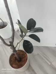 -HEYAN荷妍专业脱毛连锁机构