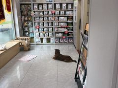 -瑞鹏宠物医院·超声·骨科·奇麟分院(蜀都万达店)