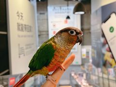 -宜家家居(四元桥商场店)