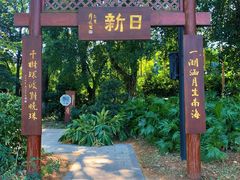 -海珠湖公园