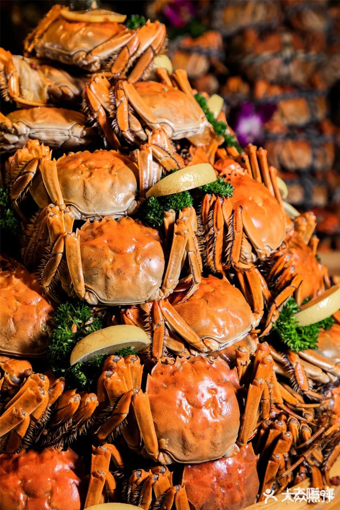 「五月罗马」蟹宴自助02大闸蟹不限量畅吃6015