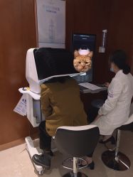 -厦门美莱整形美容医院