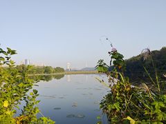-月湖风景区