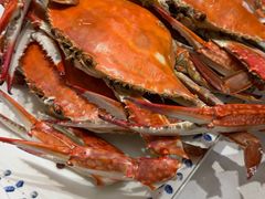 -北塘海鲜·天津菜·鲅鱼水饺是一绝(大光明桥旗舰店)