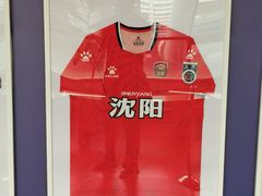 -盛京大奥莱(沈阳奥体店)