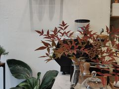-red donkey coffee