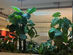 -悦海·家宴·冰花皮皮虾大锅贴(宝龙店)