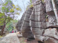 -梭布垭石林景区