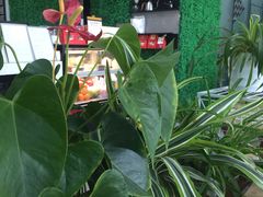 -洄归山也·高空C位湖景下午茶(东方之门店)