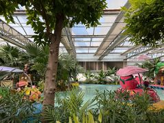 -南宫五洲植物乐园