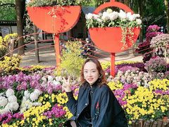 -汇龙潭