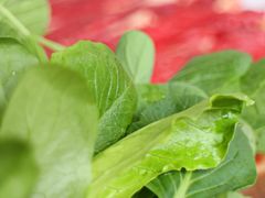 -二荆条·蜀鲜汇城市森林火锅