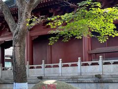 -绳金塔