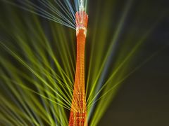 -海心沙亚运公园