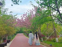 -金鸡湖桃花岛