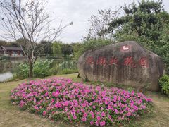 -鹅湖玫瑰文化园
