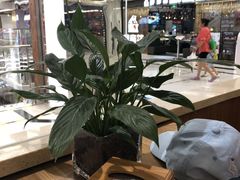 -南门金峰辣子鸡·玩串串(昌发展万科广场店)