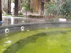 -杭州第一世界大酒店·云曼温泉