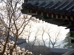 -北海公园