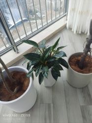 -HEYAN荷妍专业脱毛连锁机构