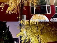 -小白桦西餐厅