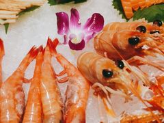 甜虾-黑松白鹿(崇文门新活馆店)