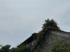 -东台西溪天仙缘景区