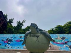 -广东惠东海龟国家级自然保护区