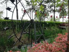 -合肥滨湖国家森林公园