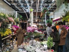 -金科花卉市场