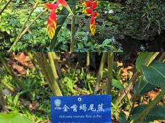 -中国科学院西双版纳热带植物园