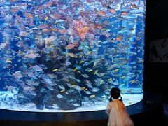 -成都浩海立方海洋公园