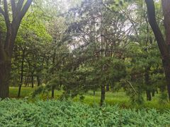 -森林公园(尖草坪区)