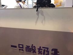 -一只酸奶牛(八一路店)
