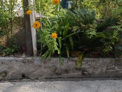 -半秋山西餐厅(巴南万达广场店)