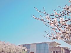 -龙美术馆西岸馆-停车场