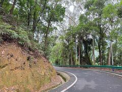 -佛山市三水区大南山森林公园