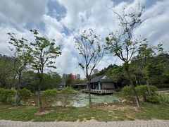 -大亚湾红树林城市湿地公园