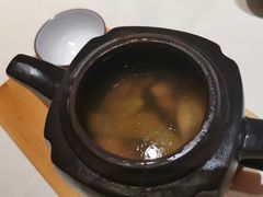 藏区羊肚菌花胶炖走地鸡汤-觅唐MITONG(鸟巢店)